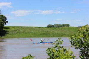 IMG_8558